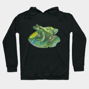 Green frog on green leaf Hoodie